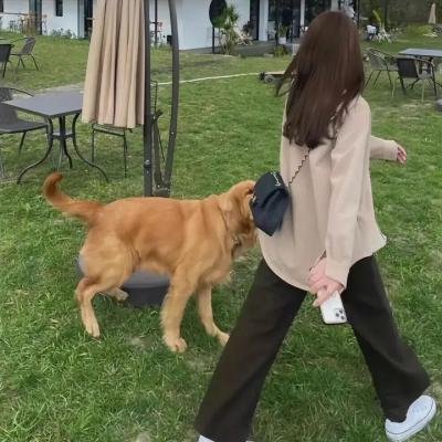 鬼才之道